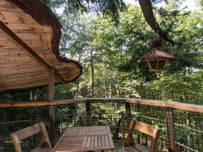 Cabane perchée en bois avec terrasse, entourée darbres verdoyants en Auvergne-Rhône-Alpes.