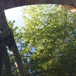 Hébergement insolite en Provence-Alpes-Côte dAzur, avec vue sur la nature à travers un toit vitré.