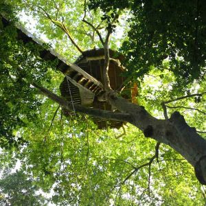 Cabane dans les arbres en Basse-Normandie, perchée au cœur dun feuillage verdoyant.