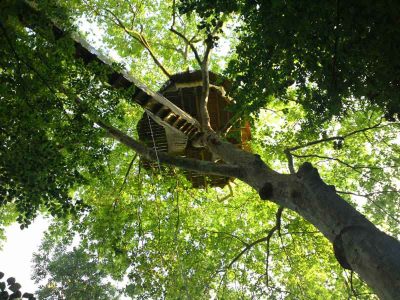 Cabane dans les arbres en Basse-Normandie, perchée au cœur dun feuillage verdoyant.