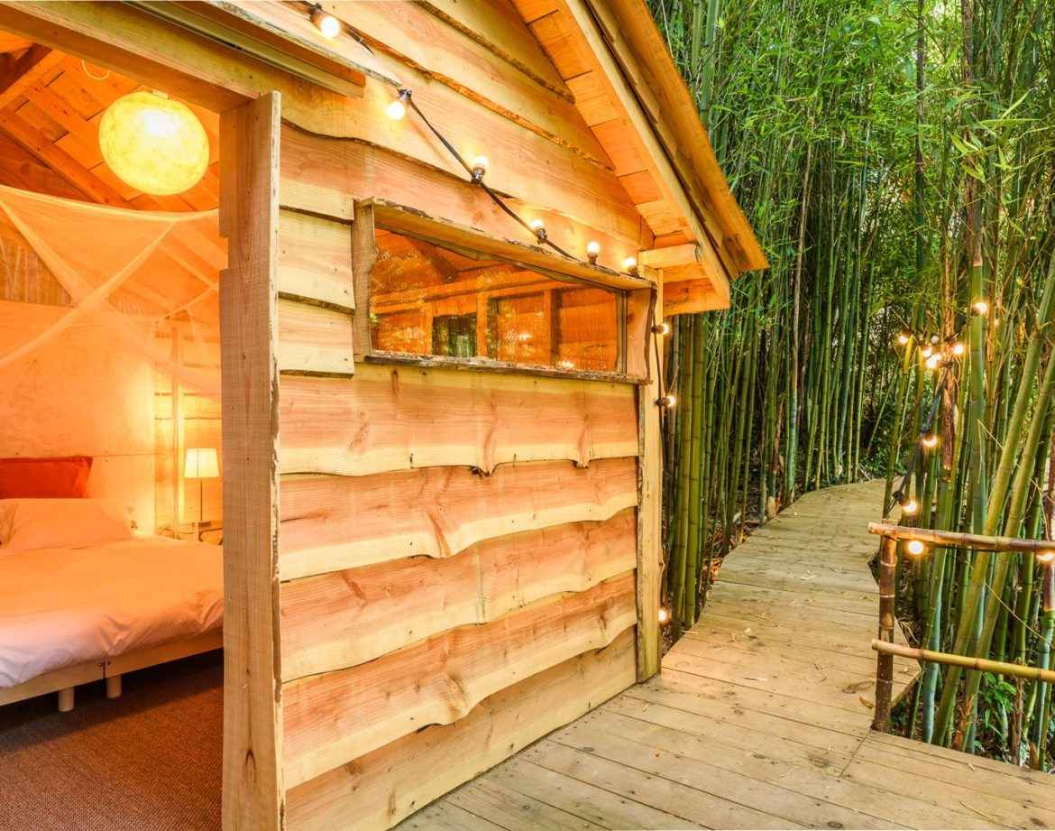 Cabane en bois au milieu des bambous, éclairée par des guirlandes lumineuses.