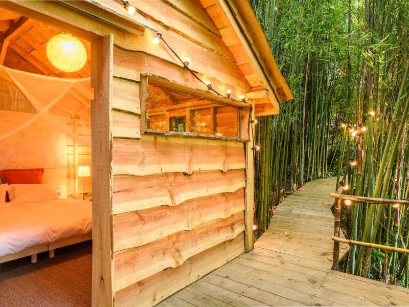 Cabane en bois au milieu des bambous, éclairée par des guirlandes lumineuses.