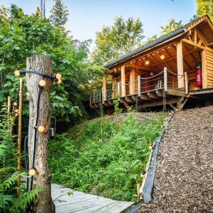 Cabane en bois perchée, entourée de verdure, avec guirlandes lumineuses.