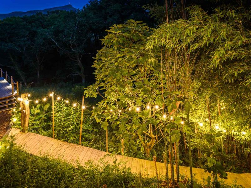 Chemin en bois illuminé menant à un chalet, entouré de verdure luxuriante.