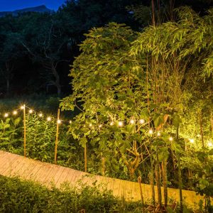 Hébergement insolite en Aquitaine, avec un chemin lumineux bordé de verdure.