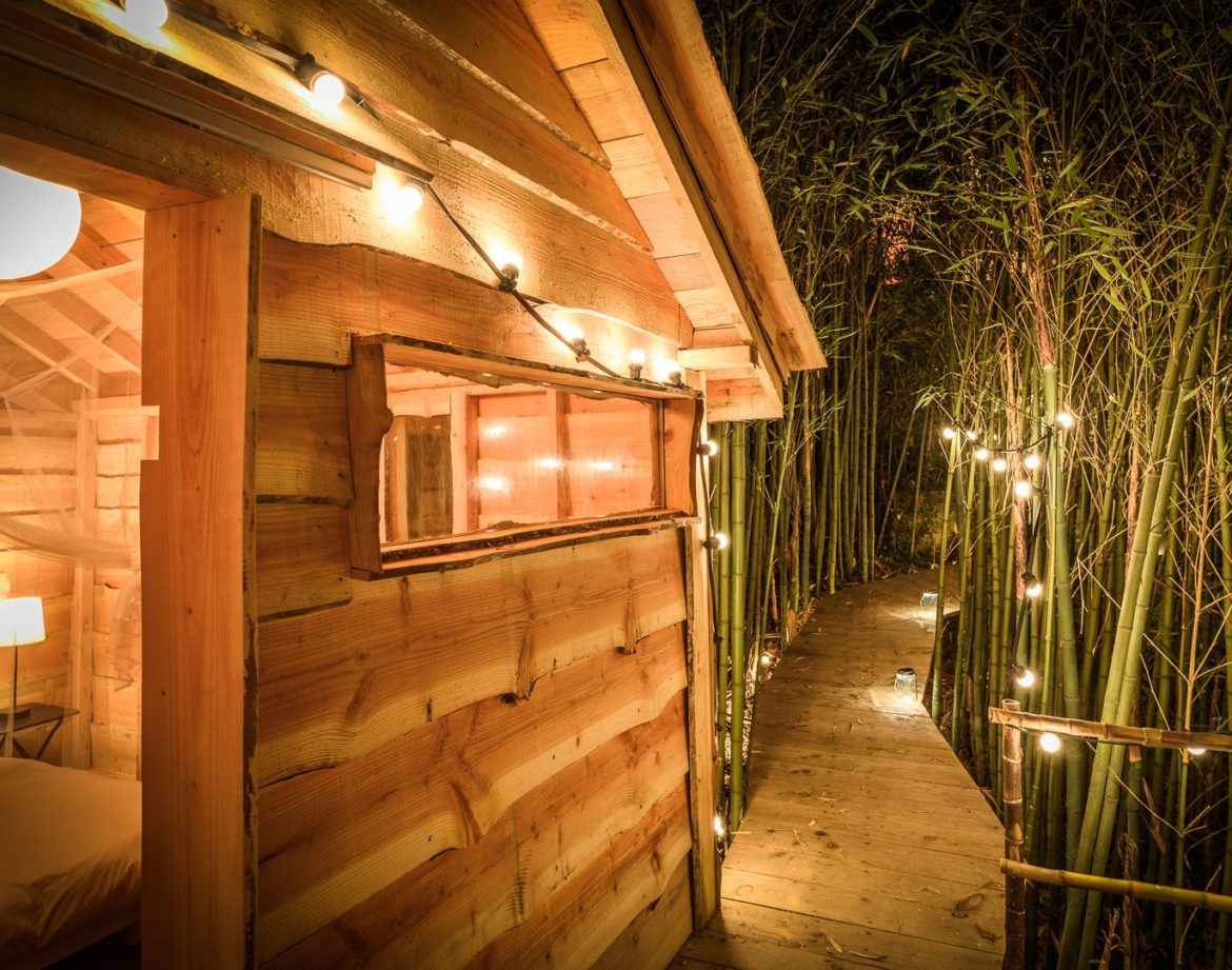 Cabane en bois lumineuse, entourée de bambous, offrant une ambiance chaleureuse.