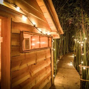 Cabane en bois lumineuse, entourée de bambous, offrant une ambiance chaleureuse.