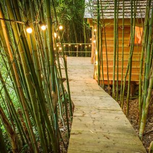Cabane en bois entourée de bambous, éclairée par des guirlandes lumineuses.