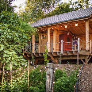 Cabane en bois dans la nature, éclairée par des guirlandes lumineuses.