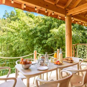 Cabane en bois en Aquitaine avec terrasse et vue sur la nature verdoyante.