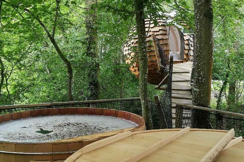 Cabane perchée dans les arbres avec un spa en bois, entourée de verdure luxuriante.