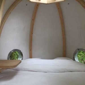 Hébergement insolite en forme de bulle avec vue sur la nature par un toit vitré.