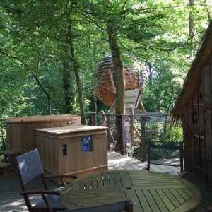 Cabane perchée dans les arbres, entourée de verdure, avec jacuzzi en bois.