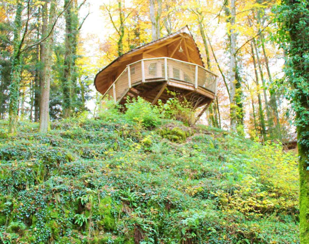 Cabane perchée en bois, entourée darbres aux feuillages dorés en Bourgogne-Franche-Comté.