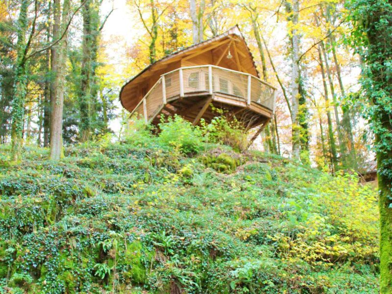 Cabane perchée en bois, entourée darbres aux feuillages dorés en Bourgogne-Franche-Comté.