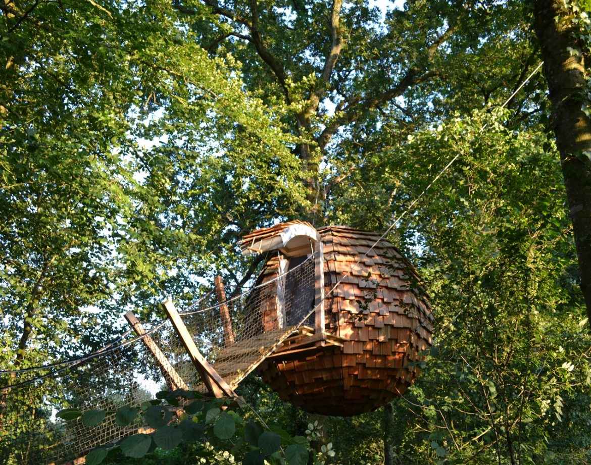Cabane perchée en bois, suspendue entre les arbres, au cœur de la nature verdoyante.