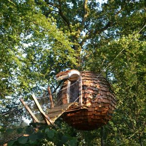 Cabane perchée en bois, suspendue entre les arbres, au cœur de la nature verdoyante.