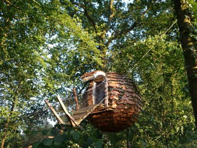 Cabane perchée en bois, suspendue entre les arbres, au cœur de la nature verdoyante.