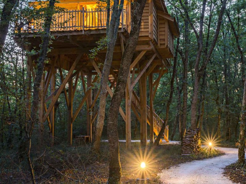 Cabane dans les arbres illuminée, nichée au cœur dune forêt paisible.