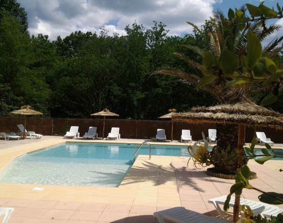 Hébergement insolite avec piscine, entouré de palmiers et de verdure apaisante.