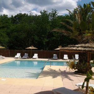 Hébergement insolite avec piscine, entouré de palmiers et de verdure apaisante.