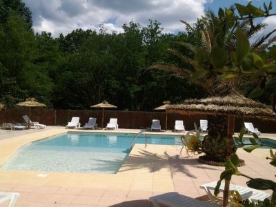 Hébergement insolite avec piscine, entouré de palmiers et de verdure apaisante.