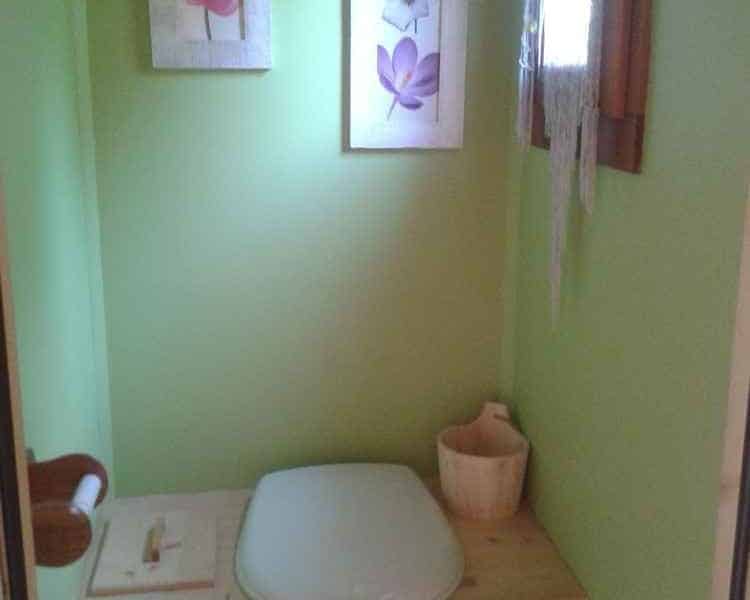 Toilettes écologiques dans un hébergement touristique, murs verts et décor floral.