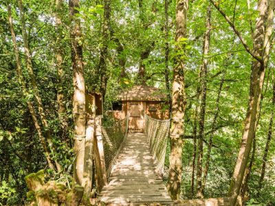 Cabane dans les arbres en Pays de la Loire, accessible par un pont suspendu verdoyant.