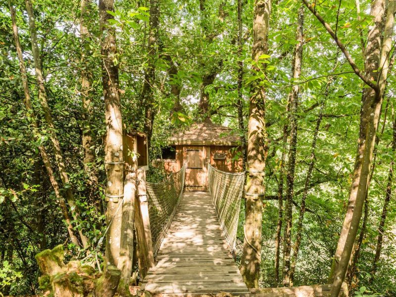 Cabane dans les arbres en Pays de la Loire, accessible par un pont suspendu verdoyant.