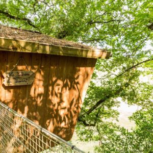 Cabane perchée dans les arbres, entourée de verdure, avec un toit en bois.
