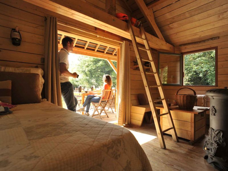 Cabane en bois chaleureuse avec une terrasse ensoleillée et une échelle en bois.