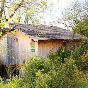 Cabane en bois perchée, entourée de verdure, offrant un séjour insolite en Auvergne.