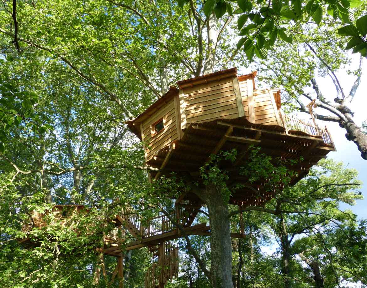 Cabane perchée dans les arbres, entourée de verdure luxuriante à Languedoc-Roussillon.