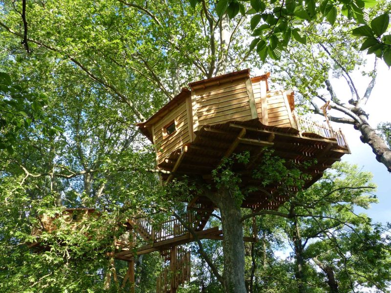 Cabane perchée dans les arbres, entourée de verdure luxuriante à Languedoc-Roussillon.