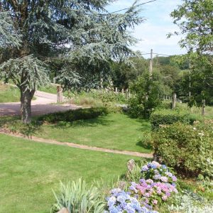 Hébergement insolite en pleine nature, entouré de verdure et de fleurs colorées.