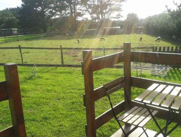 roulotte nature et bois terrasse