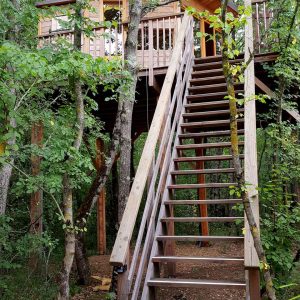 Cabane perchée dans les arbres, accessible par un escalier en bois, entourée de verdure.