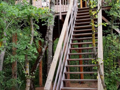 Cabane perchée dans les arbres, accessible par un escalier en bois, entourée de verdure.