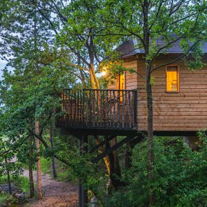 Cabane perchée en bois, entourée darbres, avec une lumière chaleureuse à lintérieur.