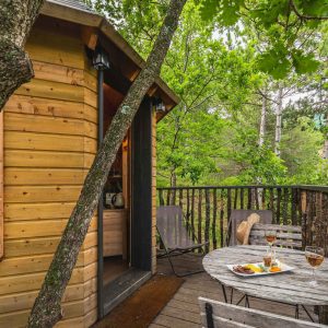 Cabane perchée en bois, entourée darbres, avec terrasse et vue sur la nature.