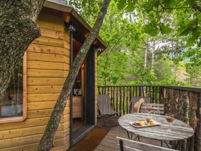 Cabane perchée en bois, entourée darbres, avec terrasse et vue sur la nature.