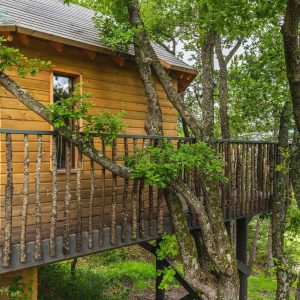 Cabane perchée en bois, entourée darbres, avec une terrasse en bois.