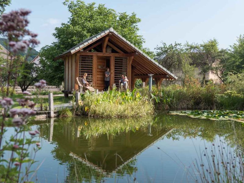 Cabane en bois au bord dun étang, entourée de verdure et de fleurs.