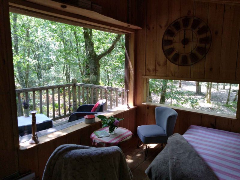 Cabane en bois avec vue sur la forêt, décorée de meubles confortables.