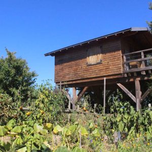 Cabane perchée en bois, entourée de verdure et de potagers colorés.