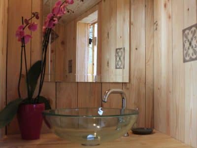 Hébergement insolite en bois en Auvergne-Rhône-Alpes avec lavabo en verre et orchidée.
