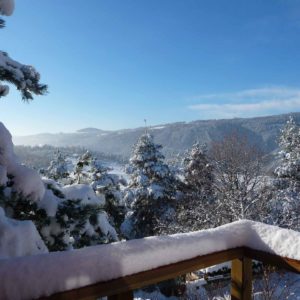 Cabane perchée en bois avec vue panoramique sur un paysage enneigé en Auvergne.