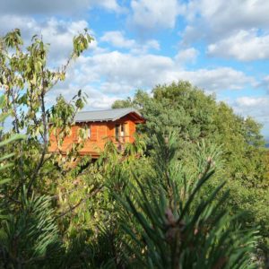 Cabane perchée en bois, entourée darbres verdoyants sous un ciel nuageux.