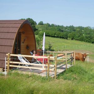 Cabane en bois en Auvergne, avec terrasse et vue sur la nature verdoyante.