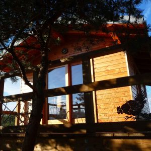 Cabane en bois perchée, entourée darbres, avec de grandes fenêtres lumineuses.